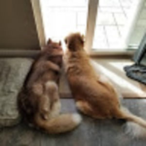 Meet your Posher, Jr